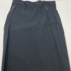 Women’s The Limited Black Pencil Skirt Size 2